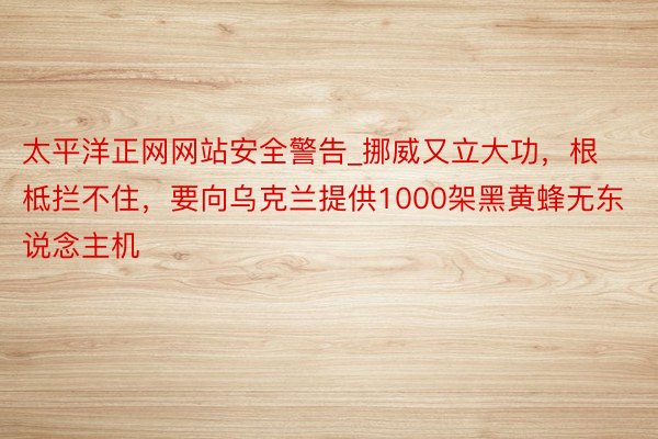 太平洋正网网站安全警告_挪威又立大功，根柢拦不住，要向乌克兰提供1000架黑黄蜂无东说念主机