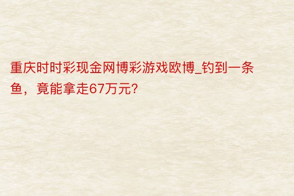 重庆时时彩现金网博彩游戏欧博_钓到一条鱼，竟能拿走67万元？