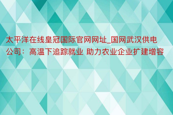 太平洋在线皇冠国际官网网址_国网武汉供电公司：高温下追踪就业 助力农业企业扩建增容