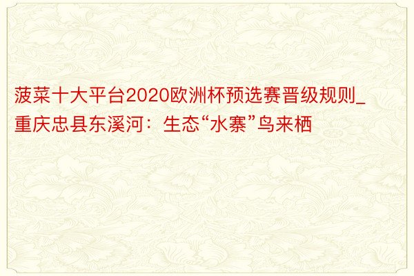 菠菜十大平台2020欧洲杯预选赛晋级规则_重庆忠县东溪河:生态“水寨”鸟来栖